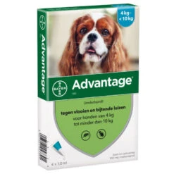 Advantage Advantage Hond 100 - 4-10 Kilo 4 Pip