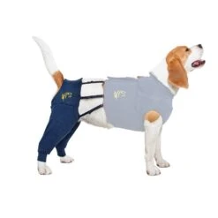 MPS Medical Pet Shirt HLS Hind L - 1 Stuk -Hondenproduct Winkel mps medical pet shirt hls hind l 1 stuk 9